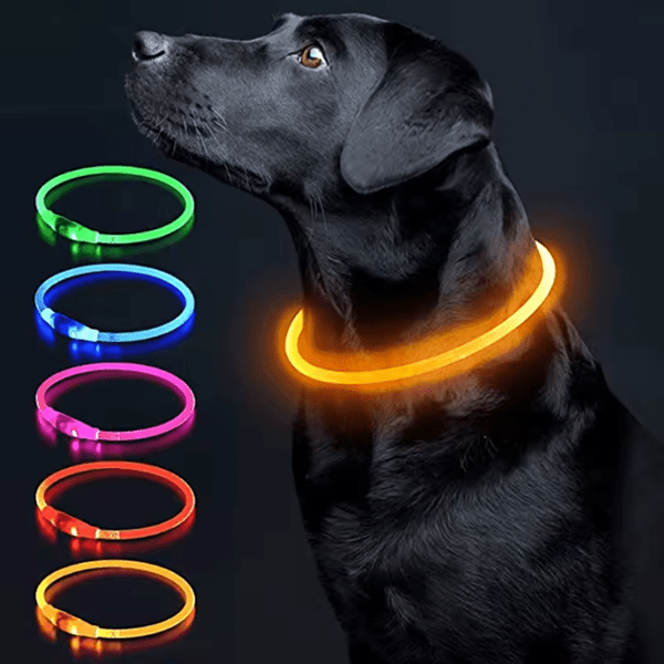 LED Collar - GAUDLUS