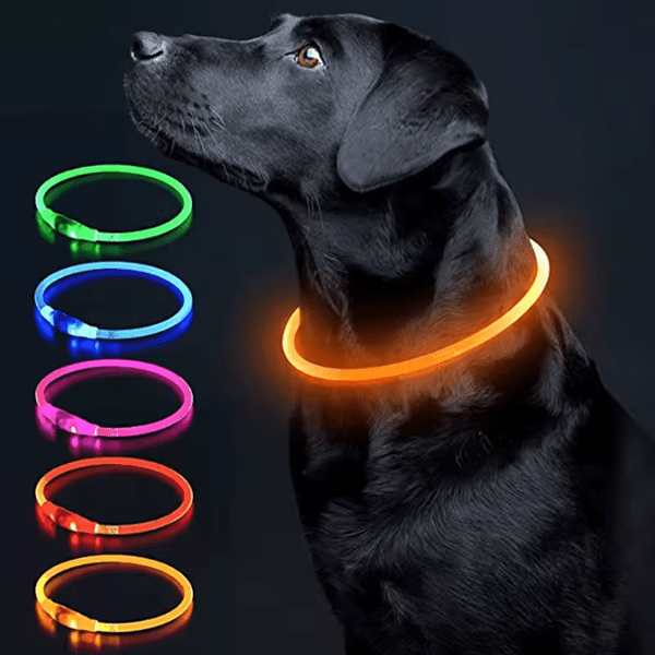 LED Collar - GAUDLUS