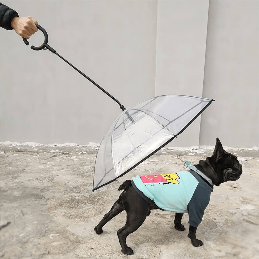 Pet Umbrella - GAUDLUS