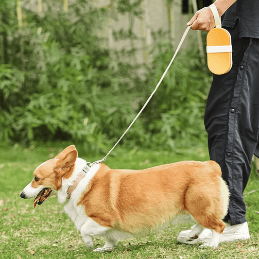 Portable Pet Supply - GAUDLUS