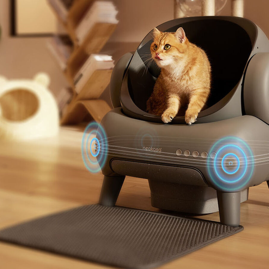 Automatic Cleaning Control