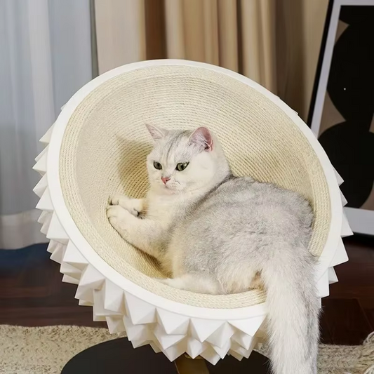 Cat Furniture